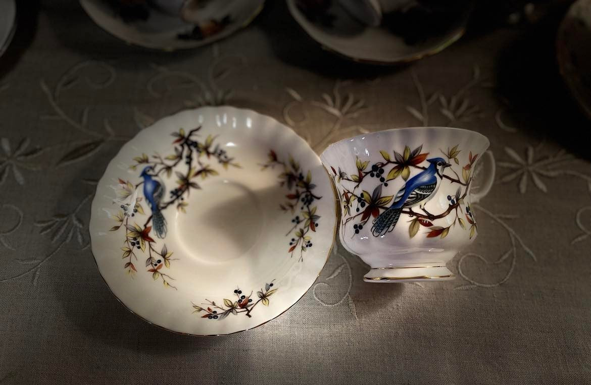 Royal Albert 'Blue Jay' Tea Cup & Saucer Set