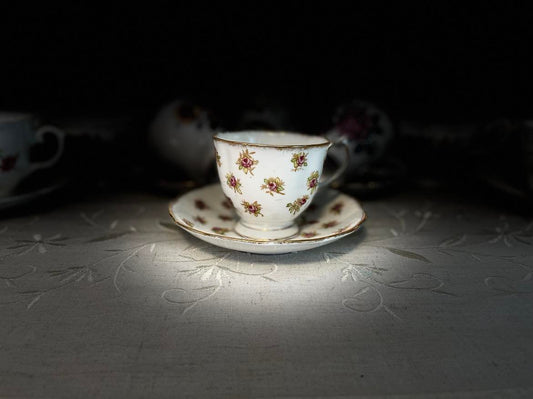 Vintage Royal Albert Tea Cup & Saucer Set